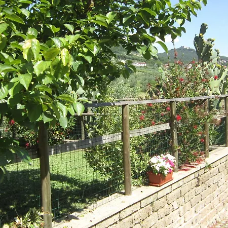 Celeste * Montecchio (Terni)